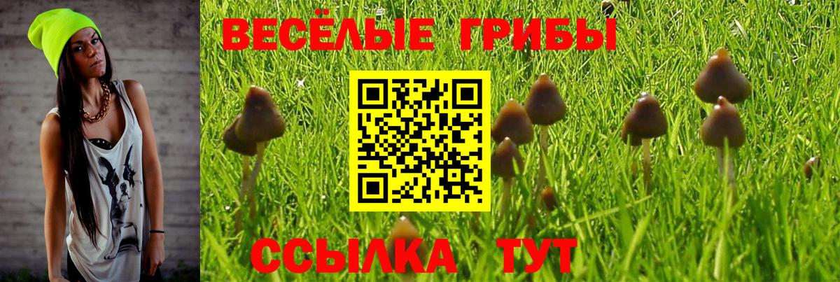 Псилоцибиновые грибы ЛСД Таганрог